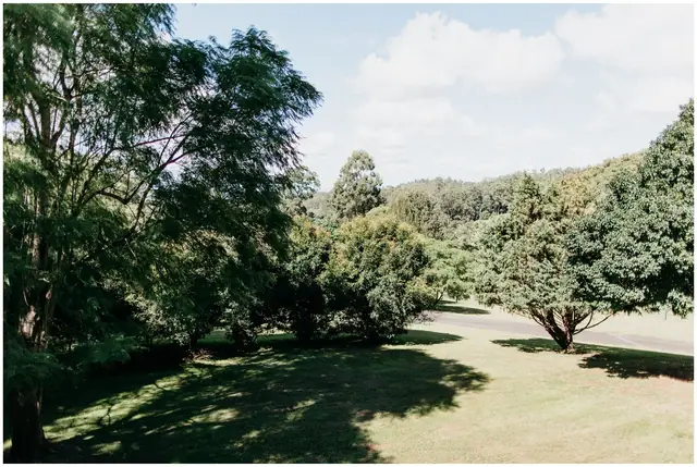 Ella & Jackson at The Woods: Trees and green lawns at the rural wedding venue.